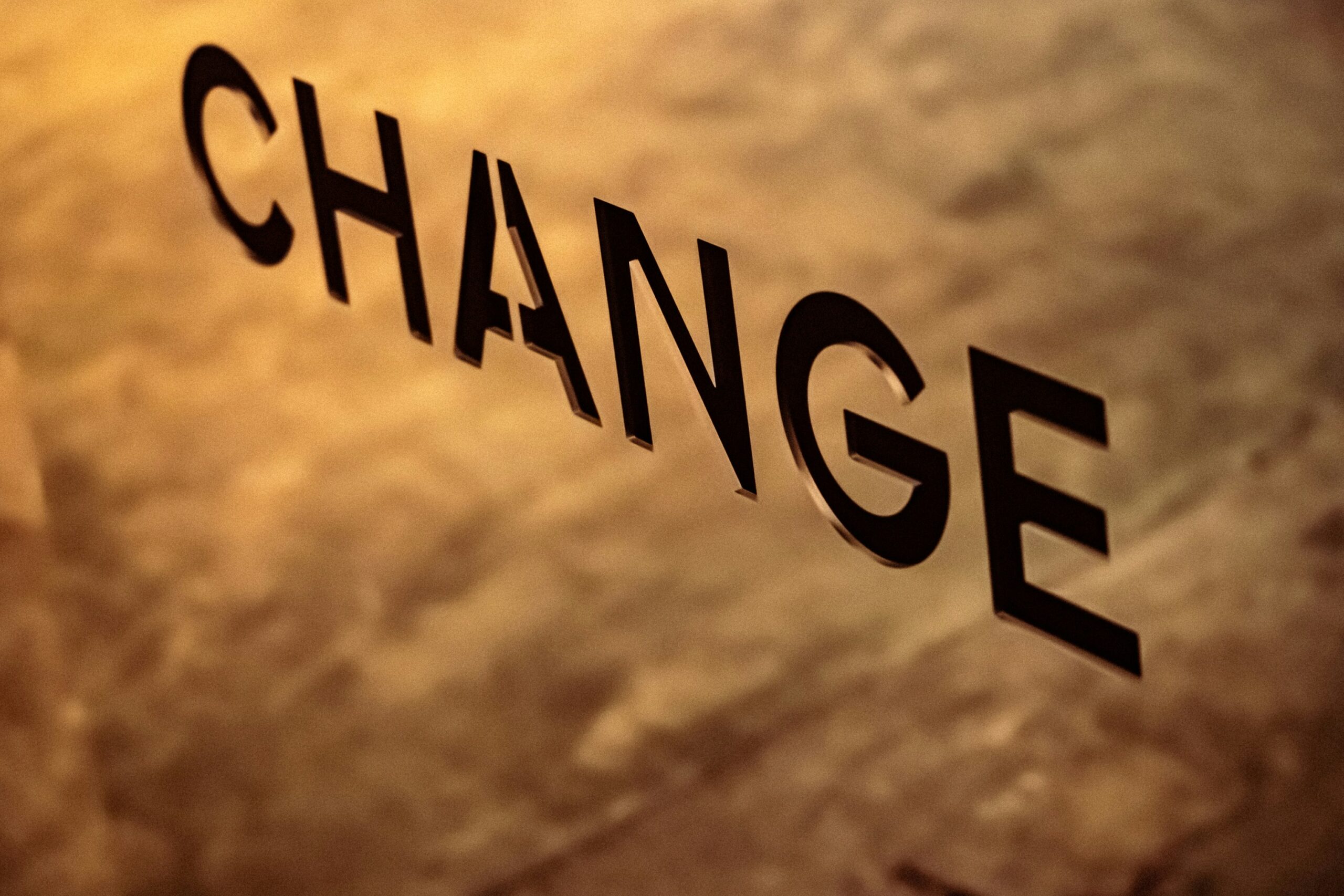 Socially Responsible Business Practices: How Tammy Donnelly Making a Difference