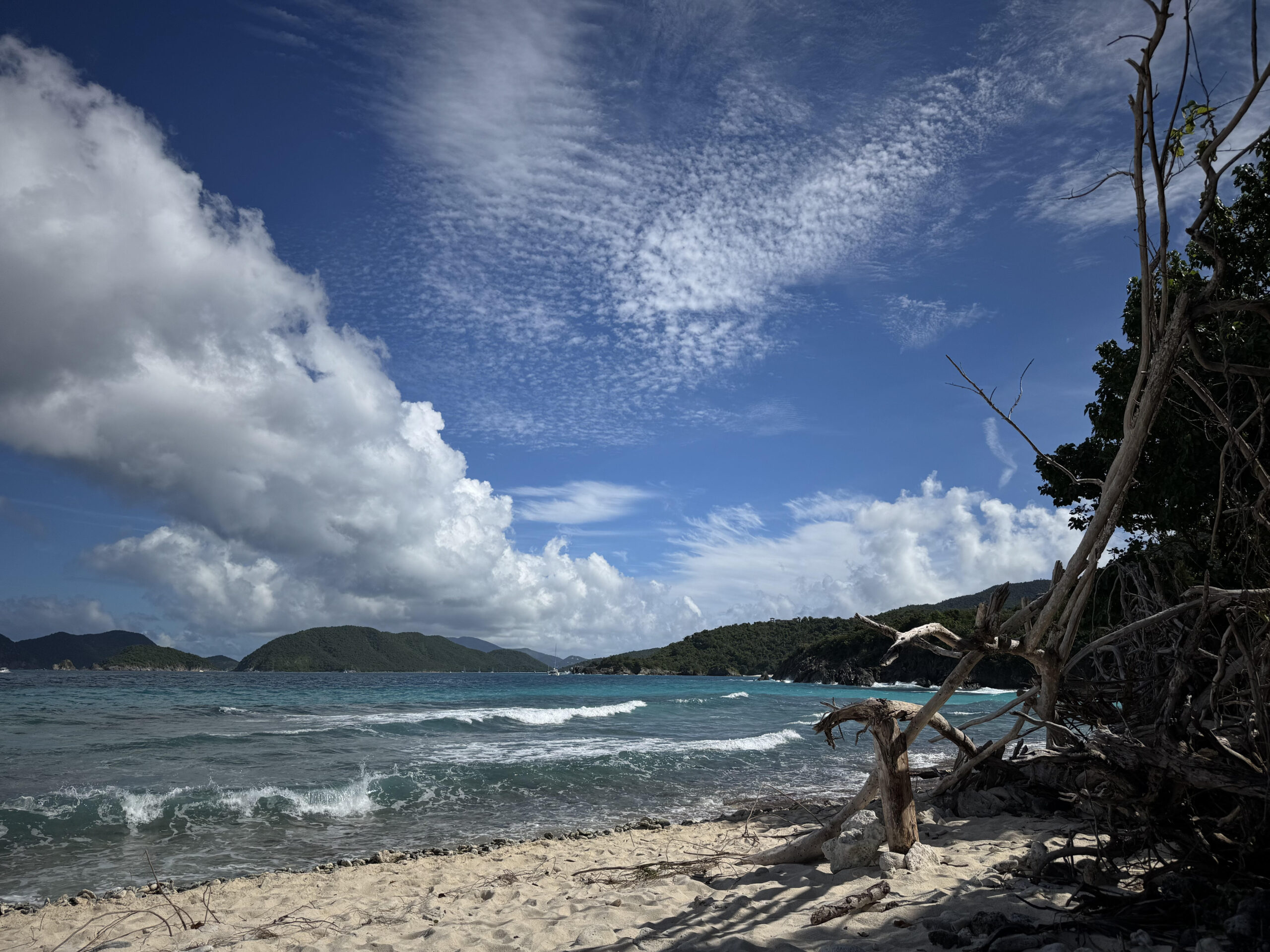 My Favorite Local Restaurants and Coffee Shops in St. John, USVI`